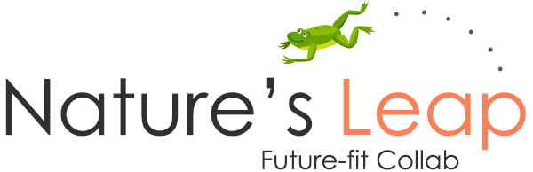 Nature’s Leap logo